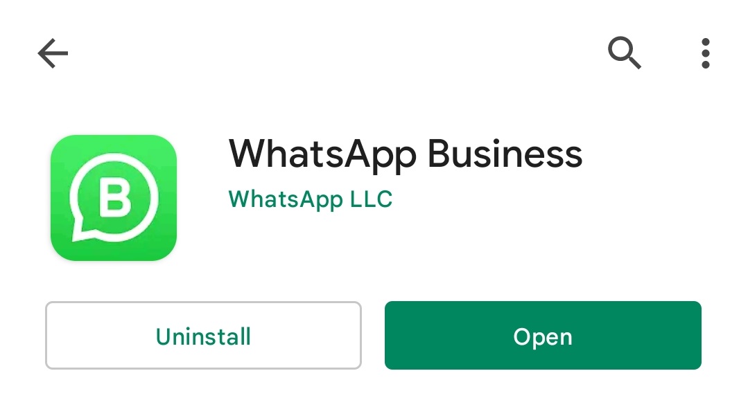 WhatsApp business Install