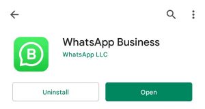 WhatsApp business Install